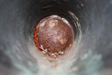 A loaded cannon waiting at Shiloh National Battlefield