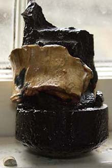 Bottom 1/3rd of Hotchkiss Shell