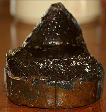 Base Off A Parrot Shell