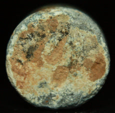 Wilkinson Pattern Bullet  ~  TL8135  $50