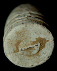 Colt Revolving Rifle Bullet with Protruding Base Cast Sprue  ~  TL8057  $8