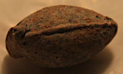 Picket Bullet with UnCut Base Sprue-M&M 165  ~  TL8156  $22