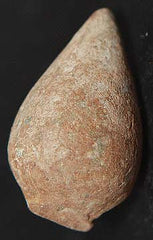 SOLD-0.50 Caliber SugarLoaf Bullet  ~  TL7954 $40 SOLD-SOLD-SOLD