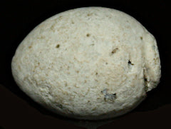 Civil War Bullet - Egg Shaped-For Single Shot Pistol  ~  TL8352  $45