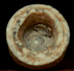 Gardner Bullet-Bulbed Nose-Very Nice  ~  TL8094  $10