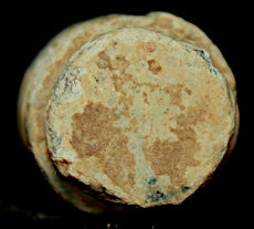 Civil War Bullet - Ringtail Sharps with Partial Tie String  ~  TL8243  $15