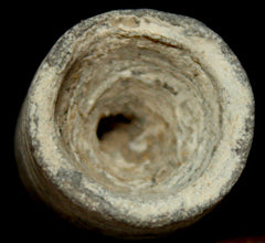 Civil War Bullet - Confederate Belgian  ~  TL8376  $30