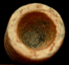 Salvaged Lead Bullet-Nice  ~  TL8061  $18