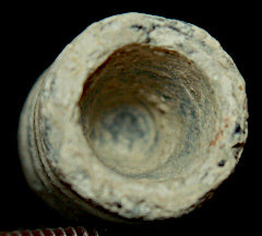 Civil War Bullet - Salvaged Lead  ~  TL8244  $10