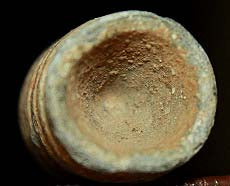 Confederate-Hard to Find-Bullet  ~  TL7992  $10