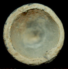 Side Cast Nashville Arsenal Bullet  ~  TL8028  $15