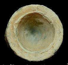 UnListed 0.54 caliber-SideCast Bullet  ~  TL8021  $50