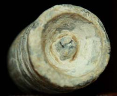 Very Nice Georgia Troops Bullet-Gaines Mill, VA  ~  TL8002  $22