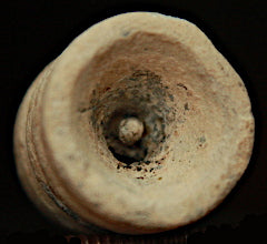 SOLD-SOLD McKee & Mason 412 Teat in Cavity Bullet  ~  TL8089  $45 SOLD-SOLD