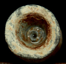 GA Troops Bullet-0.54 Caliber-Teat in Cavity  ~  TL8059  $16