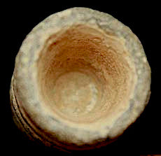 0.54 Caliber Salvaged Lead Bullet-Nice  ~  TL8069  $21