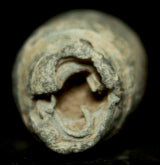 2 Colt Revolver-McKee & Mason 485-Bullets  ~  TL8054  $10