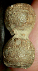 Civil War Bullet - Bar Shot  ~  TL8231  $60