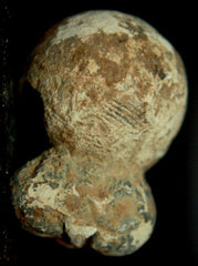 Fused 0.69 caliber Buck N Ball Cartridge-Not a Put Together  ~  TL8070  $45