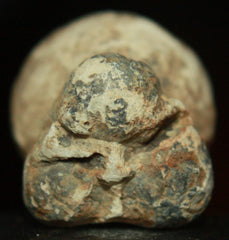 Fused 0.69 caliber Buck N Ball Cartridge-Not a Put Together  ~  TL8070  $45