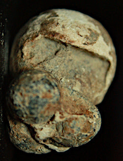 Fused 0.69 caliber Buck N Ball Cartridge-Not a Put Together  ~  TL8070  $45