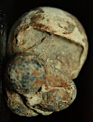 Fused 0.69 caliber Buck N Ball Cartridge-Not a Put Together  ~  TL8070  $45