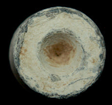 Unknown but for carbine Bullet  ~  TL8126  $20