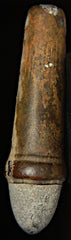 Civil War Cartridge - Whole Dug Burnside-Nice  ~  TL8213  $75