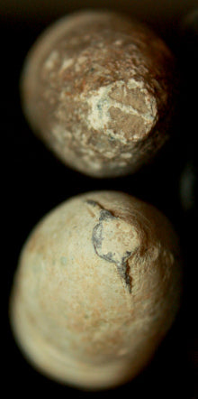 Civil War Bullets - 2 CS Nose Cast-Nice  ~  TL8230  $12