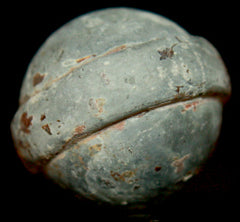 Brunswick Rifle Girdled Ball  ~  TL8055  $60