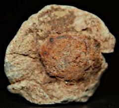 Civil War Oddity - Bullet N Square Nail  ~  TL8342  $26