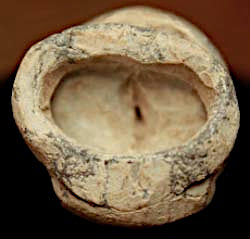 Civil War Bullet - Carved-Detailed  ~  TL8339  $18