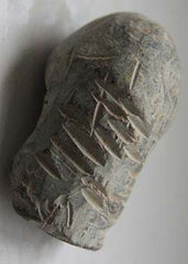 Three Civil War Bullets (2 are carved)  ~  TL7994   $22