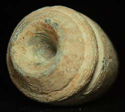 SOLD-SOLD  Very Cool Carved Civil War Bullet  ~  TL8271  SOLD-SOLD