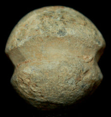 Carved Civil War Bullet  ~  TL8066  $12