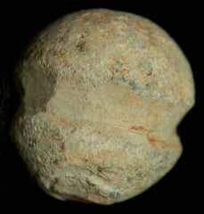 Carved Civil War Bullet  ~  TL8066  $12