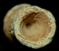 Carved Civil War Bullet  ~  TL8143  $12