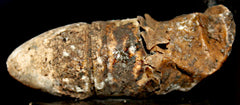 Civil War Complete Skin Cartridge  ~  TL8341  $55