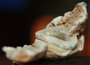 Civil War Bullet  -  High Impact Fired  ~  TL8173  $8