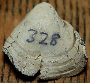 Hard Fired Civil War Bullet-High Cool Factor  ~  TL7951  $10