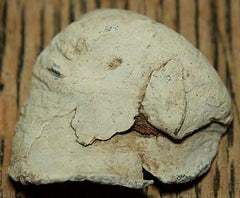 Hard Fired Civil War Bullet-High Cool Factor  ~  TL7951  $10