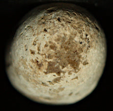 Civil War Fired Bullet-Very Cool  ~  TL8302  $8