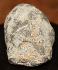 SOLD  Fired Dimmick Rifle Bullet  ~  TL7961  SOLD-SOLD-SOLD