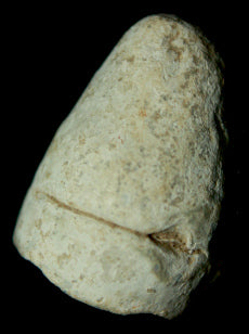 SOLD-SOLD  Fired Dimmick Bullet-Larger Caliber   ~  TL8053  $25 SOLD-SOLD