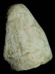 SOLD-SOLD  Fired Dimmick Bullet-Larger Caliber   ~  TL8053  $25 SOLD-SOLD