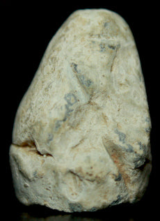 SOLD-SOLD  Fired Dimmick Bullet-Larger Caliber   ~  TL8053  $25 SOLD-SOLD