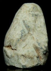 SOLD-SOLD  Fired Dimmick Bullet-Larger Caliber   ~  TL8053  $25 SOLD-SOLD