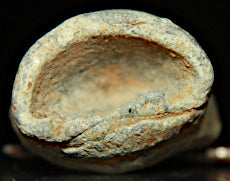 Civil War Fired Bullet - Macon Arsenal  ~  TL8270  $16