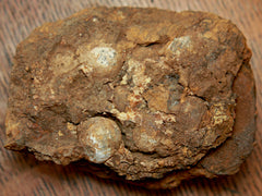 Cannon Ball Fragment with 7 Slug Balls-Birds Nest  ~  TL8140  $100