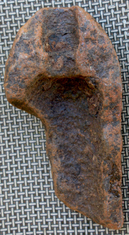 Schenkl Nose Fragment-7 inches long  ~  TL8046  $45